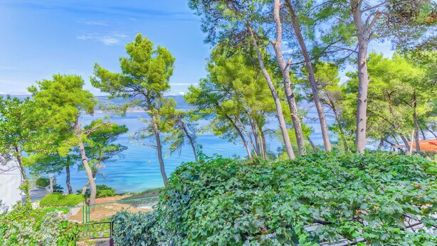 A coastal landscape with trees and a view of the sea. - Apartment Iskra (Split)