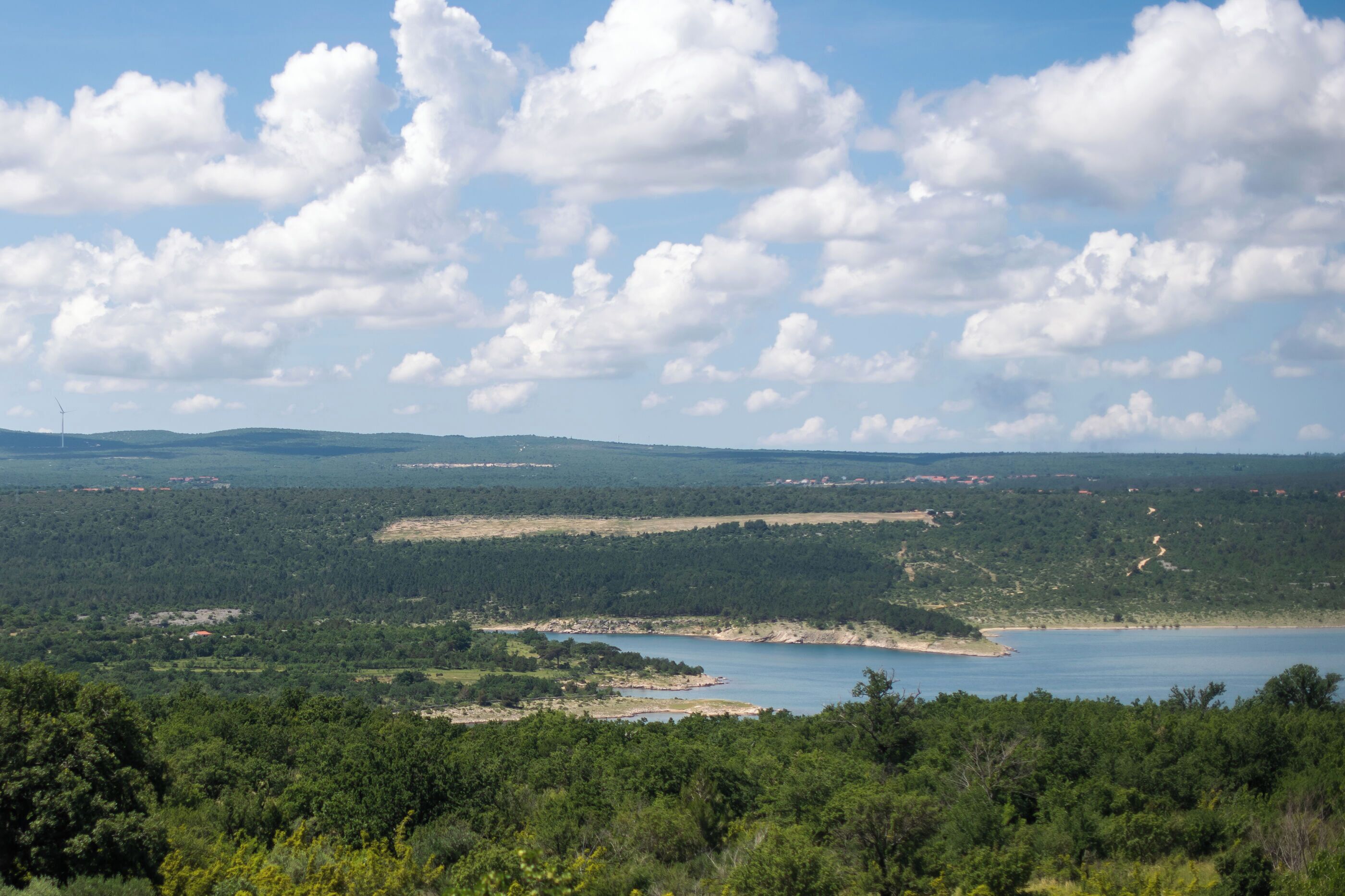 A panoramic view of a coastal landscape with a large body of water, dense forest, and distant hills.