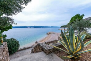 A coastal view with a beach, a clear sky, and a large agave plant in the foreground. - Apartments Beach Dream (Omis)