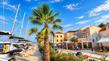 Un port de plaisance avec des bateaux, un palmier et un café doté d’une terrasse.