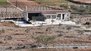 Ein modernes Haus mit Ziegeldach, umgeben von Weinbergen und spärlicher Vegetation.