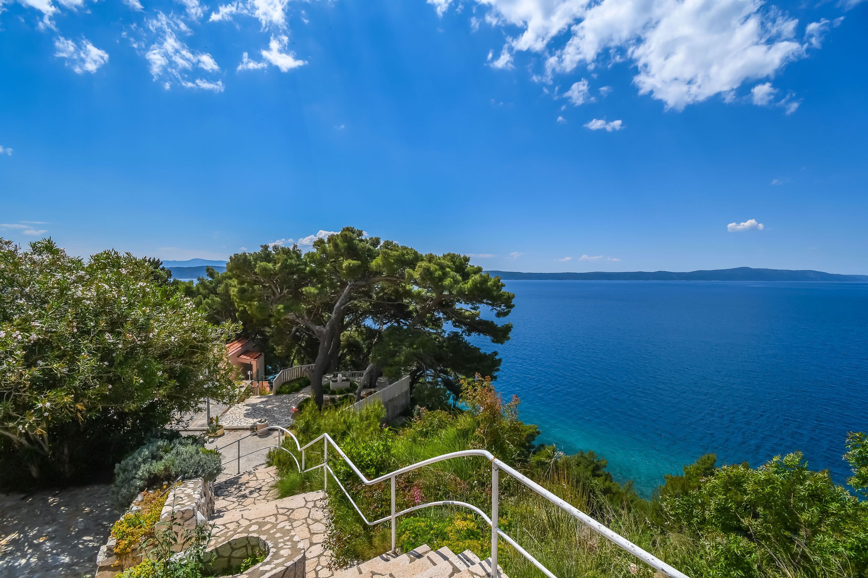 A stone staircase leading to a coastal area with a clear view of the sea and a large tree.