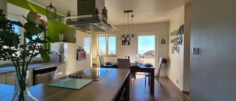 Apartment (A1) | Private kitchen | Fridge, oven, stovetop, dishwasher