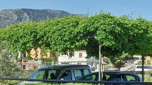 泊車