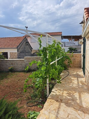 Garden - House Little Flower 2 (Okrug)