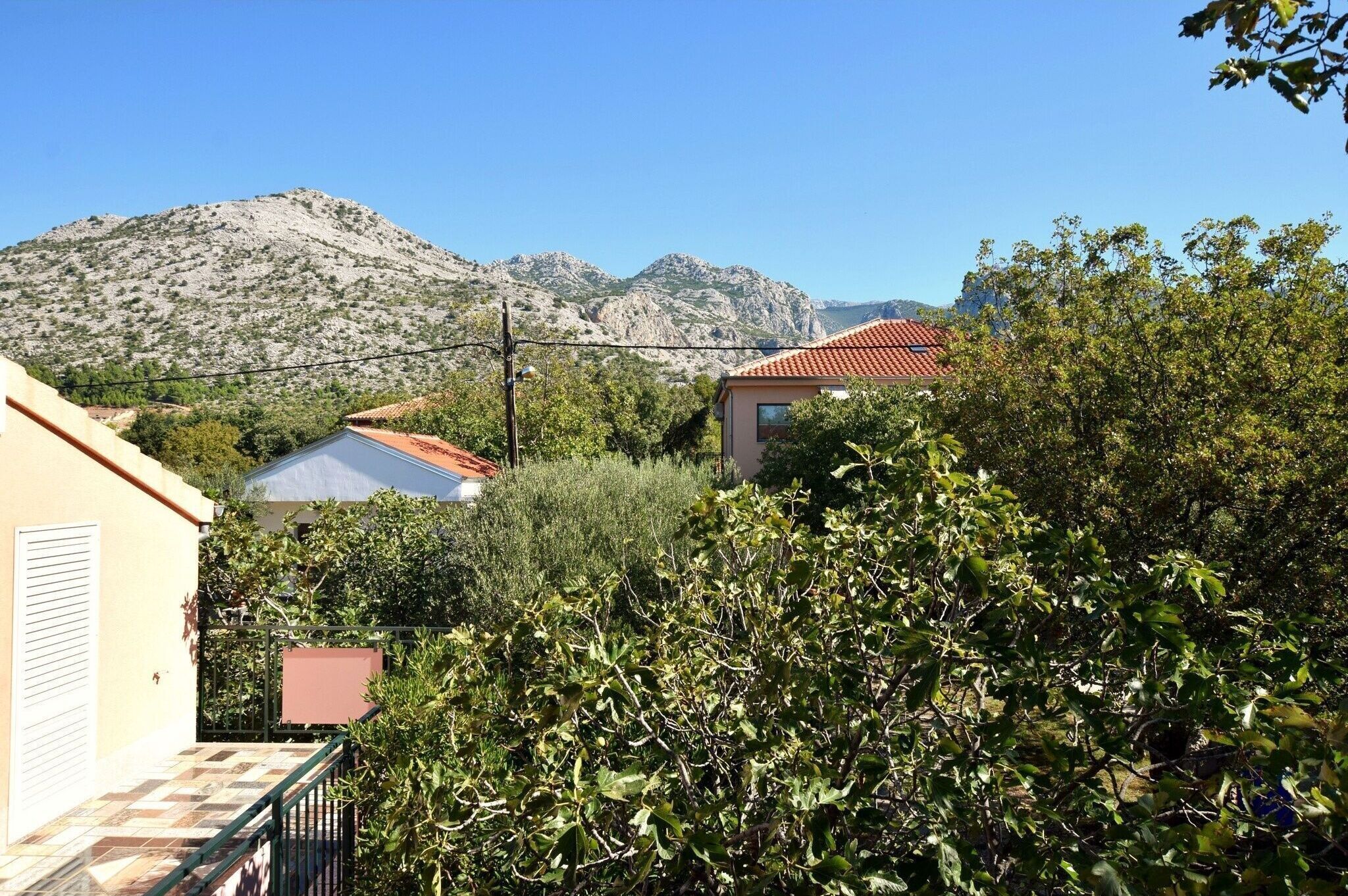A residential area with houses, a mountain in the background, and dense vegetation in the foreground.