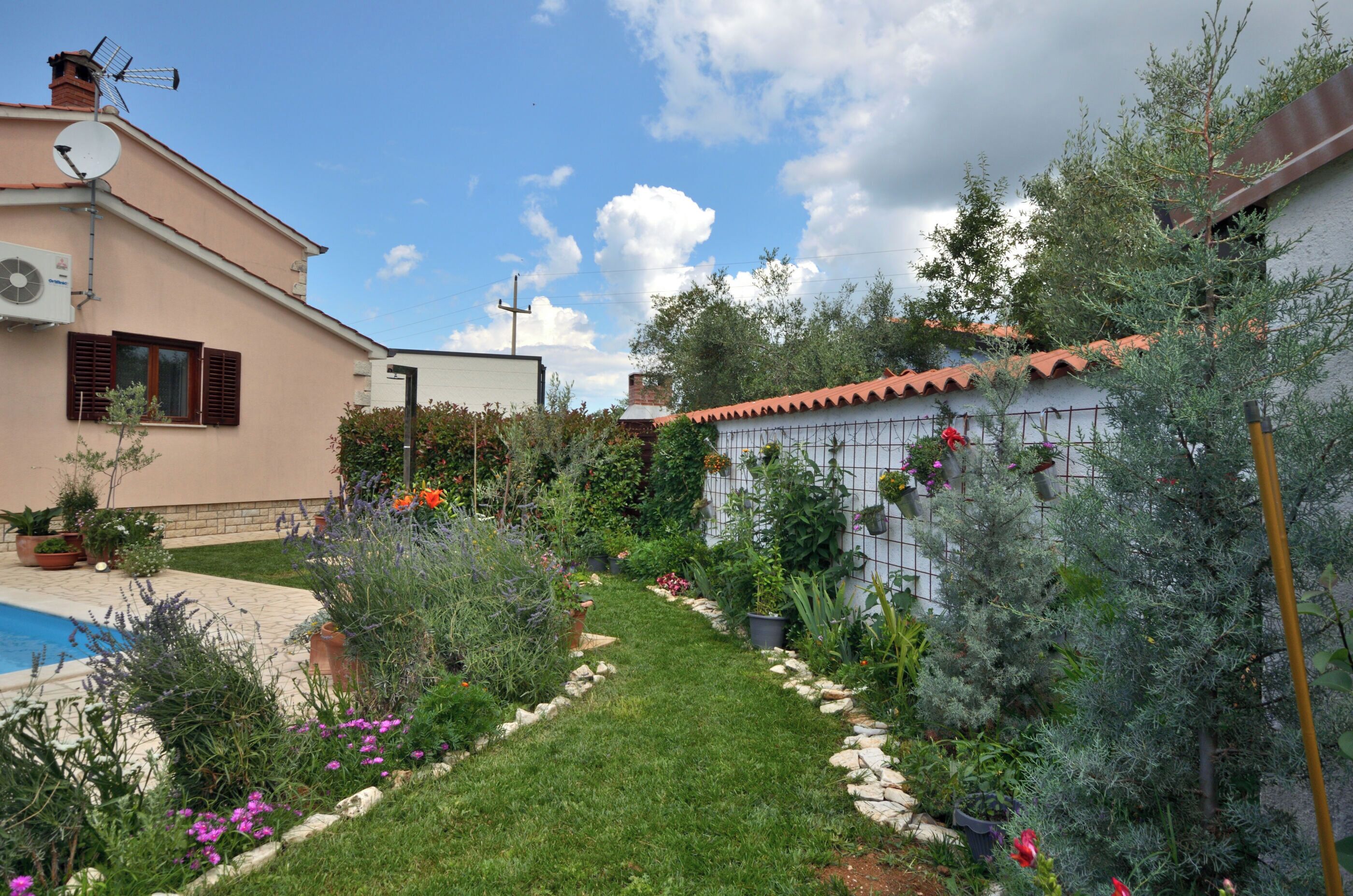 Jardí residencial amb piscina, diverses plantes i una tanca blanca.