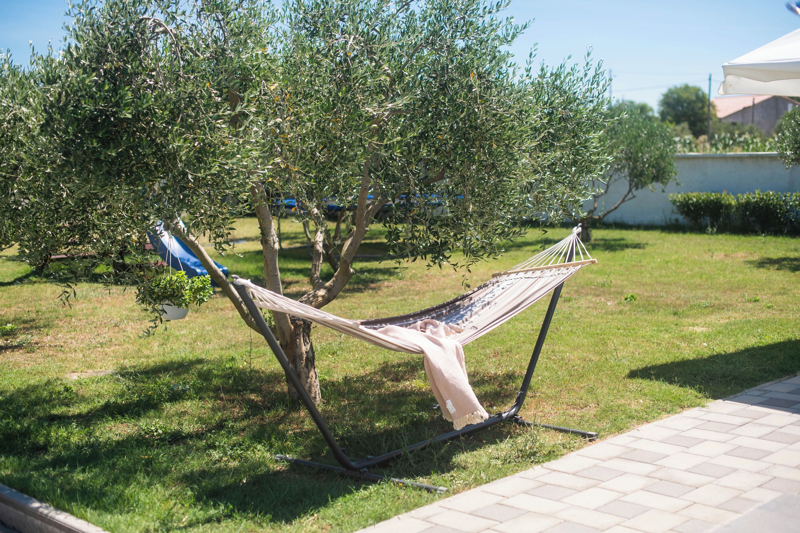 Un hamac est suspendu entre deux arbres dans une zone herbeuse, à proximité d’un chemin piétonnier dallé.