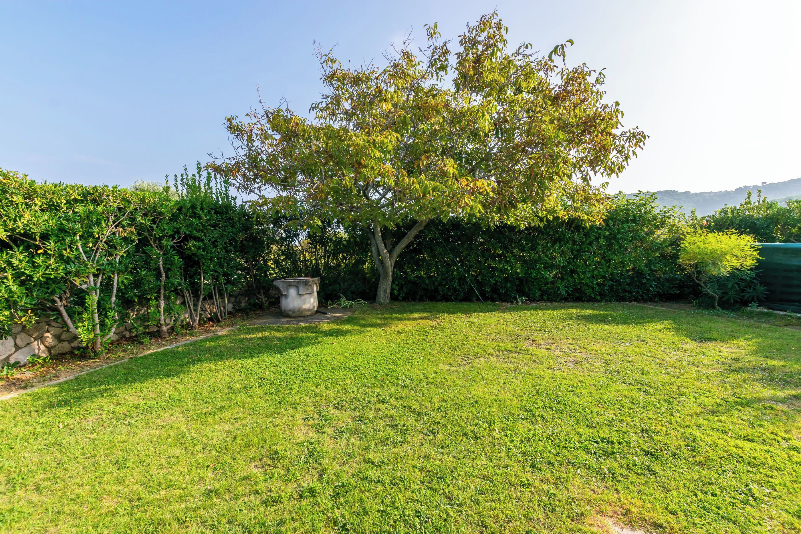 A grassy backyard with a large tree, a stone planter, and dense shrubbery.