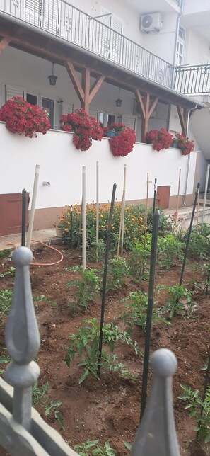 Diseño del edificio