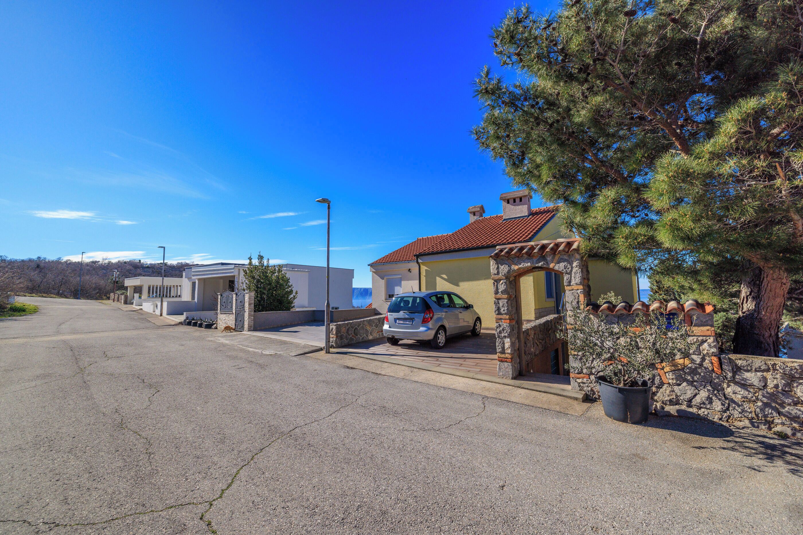 A residential street with houses, a parked car, and a large pine tree.