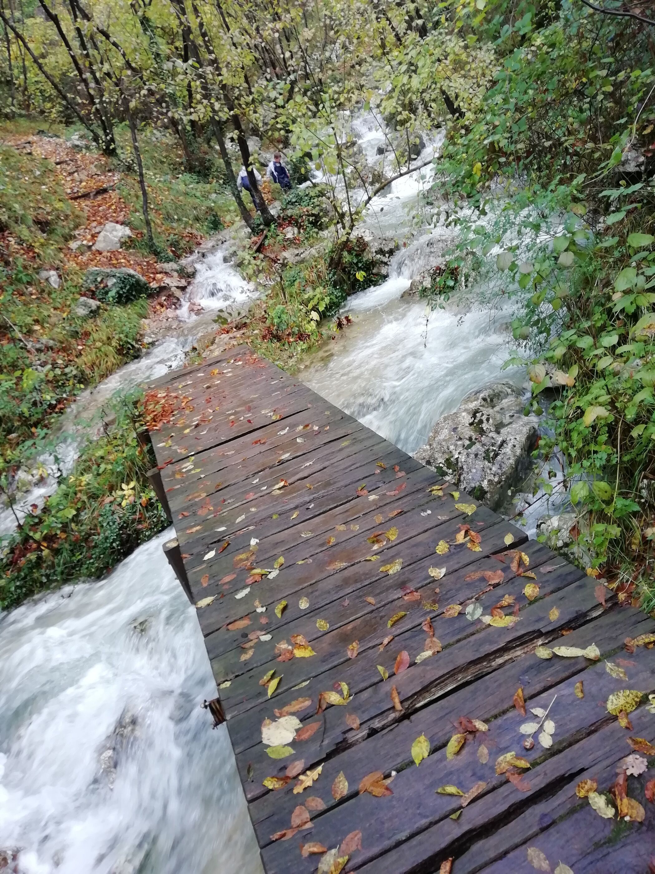 Un puente de madera sobre un arroyo que serpentea en una zona boscosa.