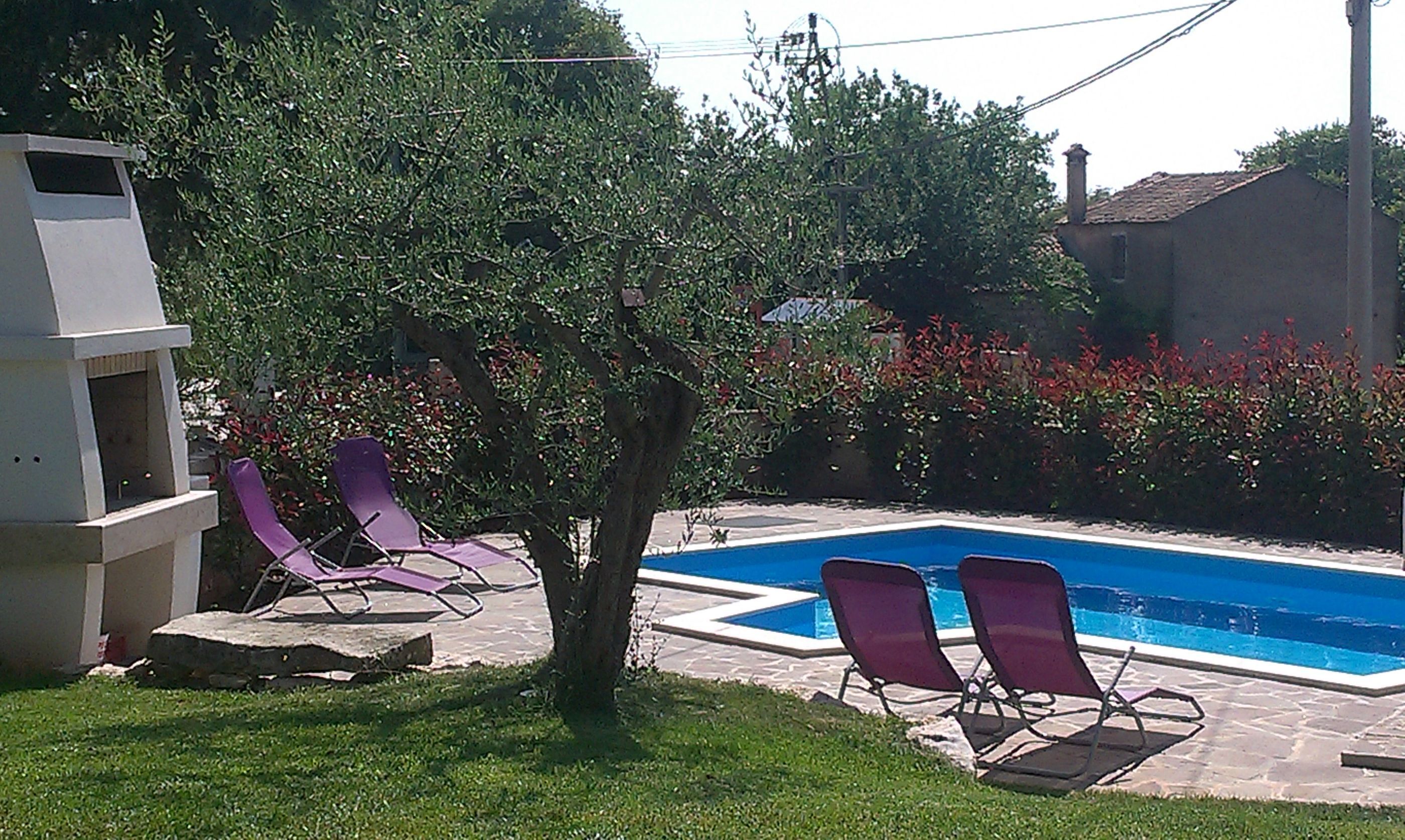 A backyard with a swimming pool, two purple lounge chairs, a barbecue grill, and a tree.