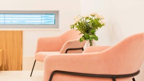 A modern room with two pink chairs, a wooden cabinet, and a vase with white flowers. - Villa Aprilia (Zadar)