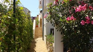 A narrow pathway flanked by lush greenery and flowering plants, leading to a building entrance. - Apartments Family Villaarta (Murter-Kornati)