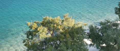 Appartement (A5) | Vue sur lâeau