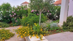 Courtyard - Villa Giove (Solta)