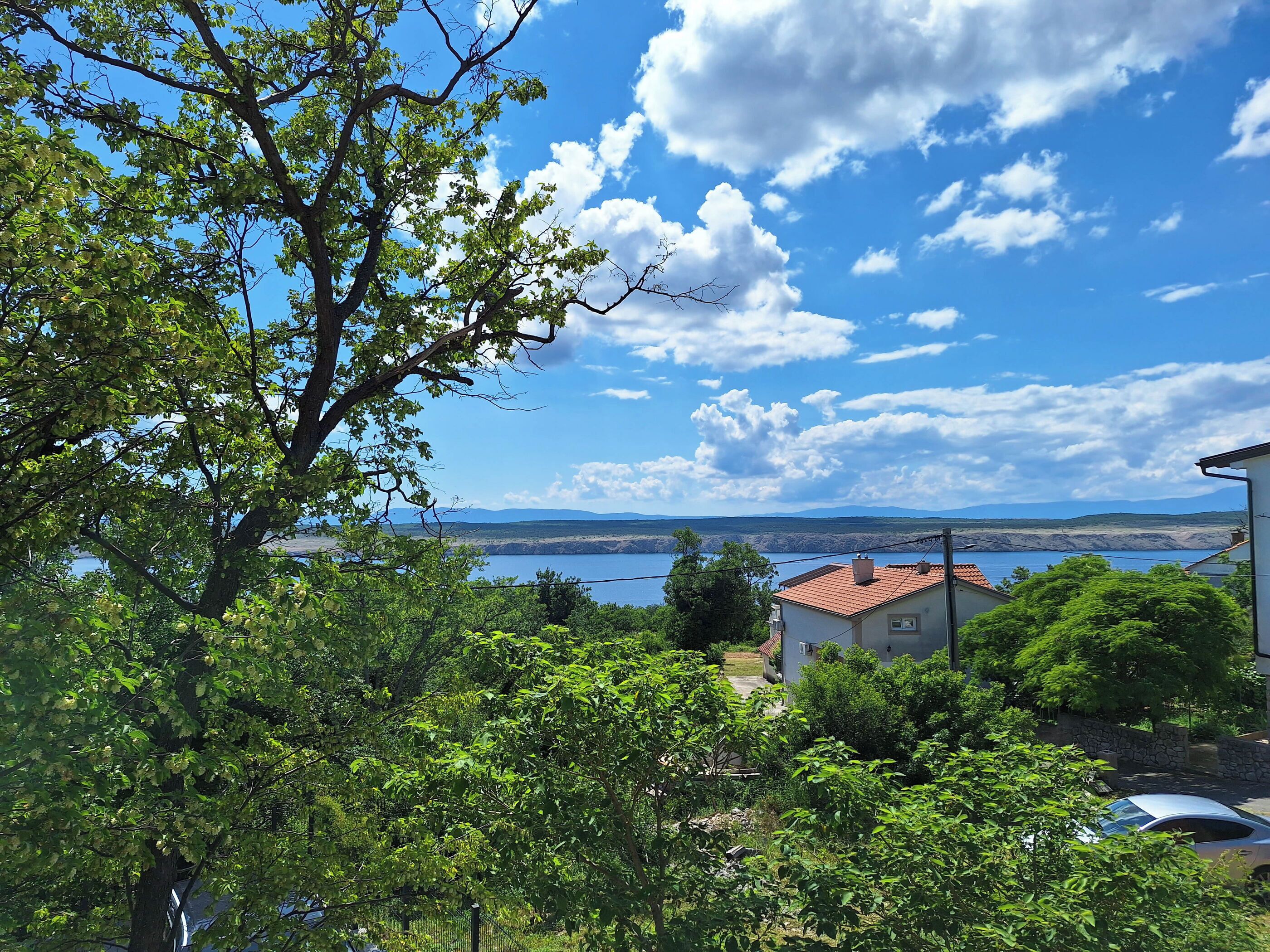 Apartment (A1) | Blick auf das Wasser