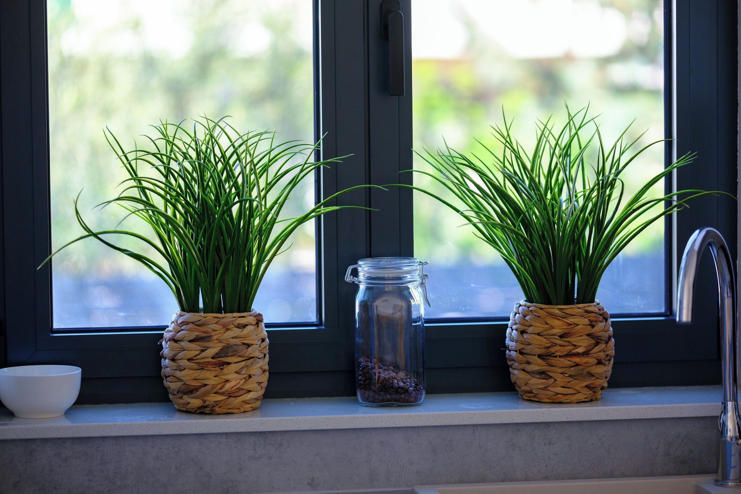 Two potted plants on a windowsill, a clear glass jar, and a white bowl.