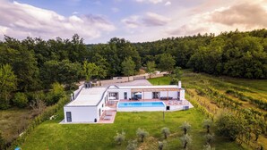 A modern house with a swimming pool, surrounded by a vineyard and a grassy area with a swing set. - Villa Istria Green (Krsan)