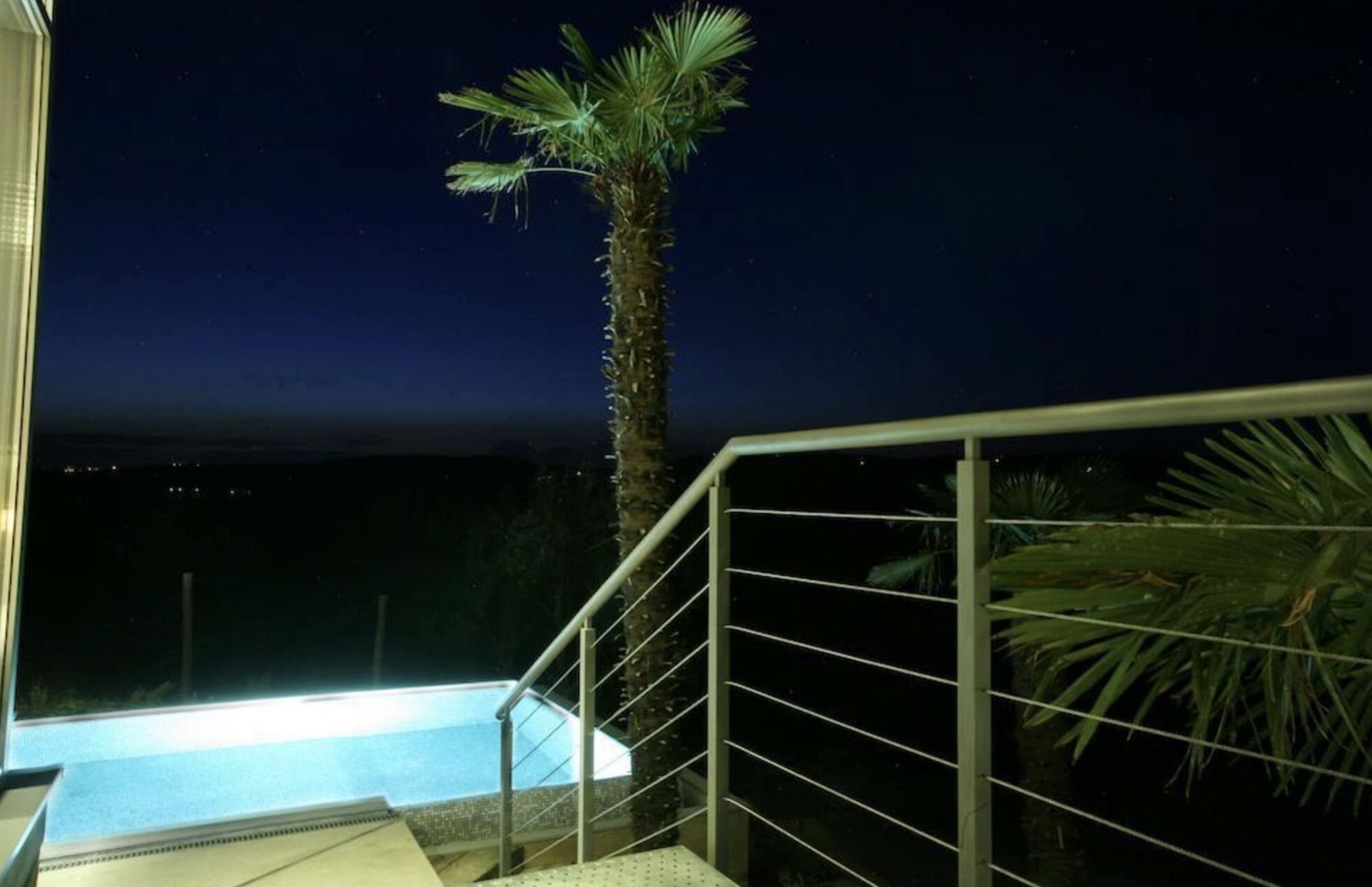 A nighttime view of a swimming pool with a palm tree and railing.