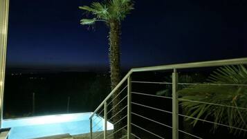 A nighttime view of a swimming pool with a palm tree and railing.