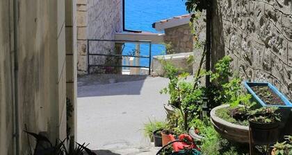 Apartments Aurora Adriatica