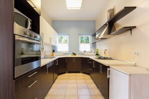 Villa | Private kitchen - Villa Spacious (Zminj)