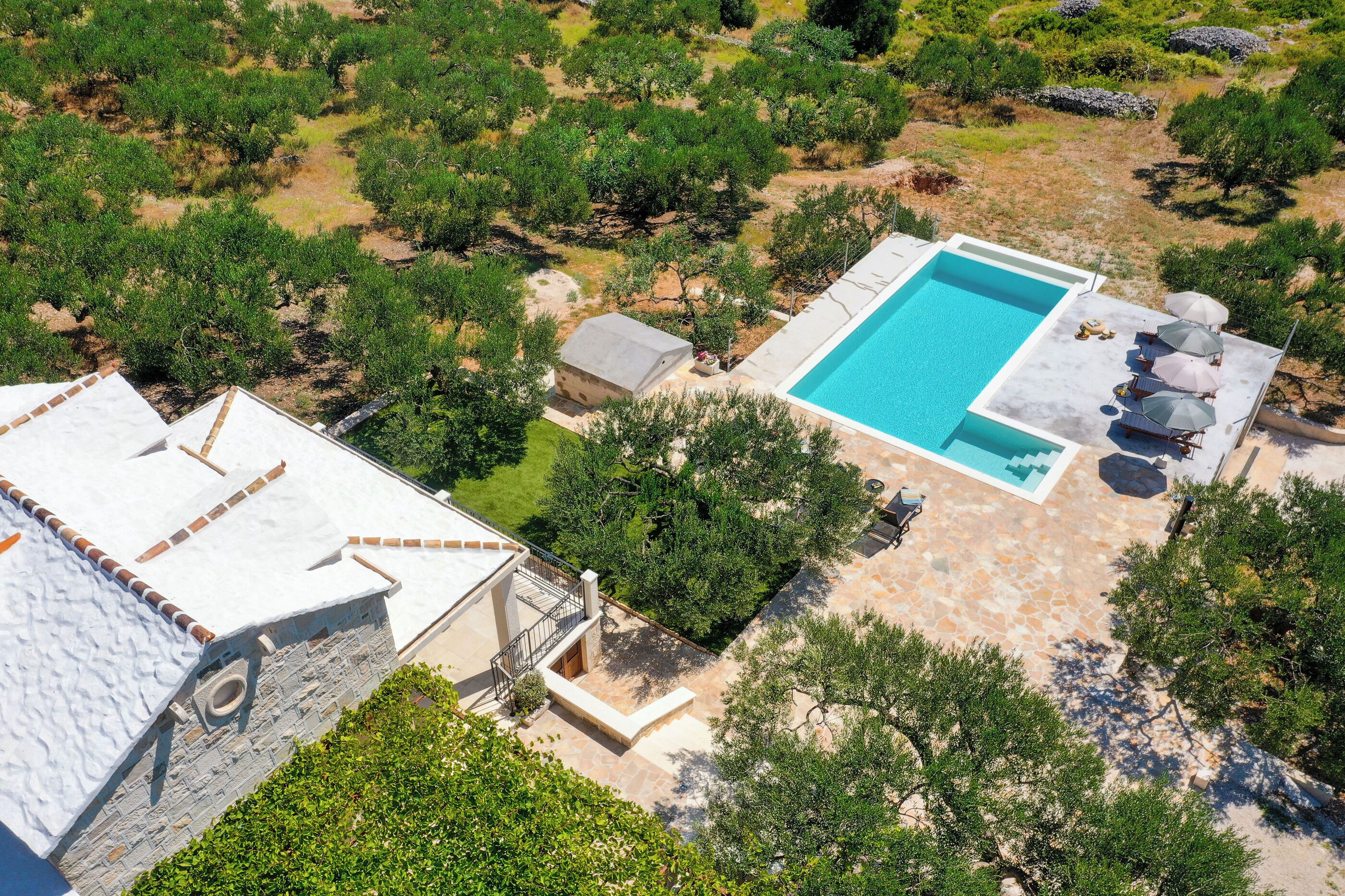 حمّام سباحة خارجي