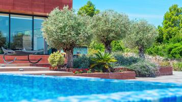 A swimming pool with a modern building in the background, surrounded by various trees and plants.