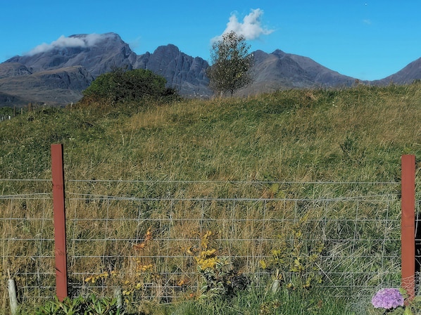 Property grounds - The Pod at Greenbank (Strath)