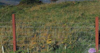 The Pod at Greenbank