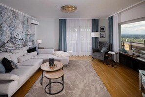 TV, stereo - Baden Chalet Apartment House with Panoramic Views of the Rhine Valley – Near Baden-Baden & Black Forest (Bühl)