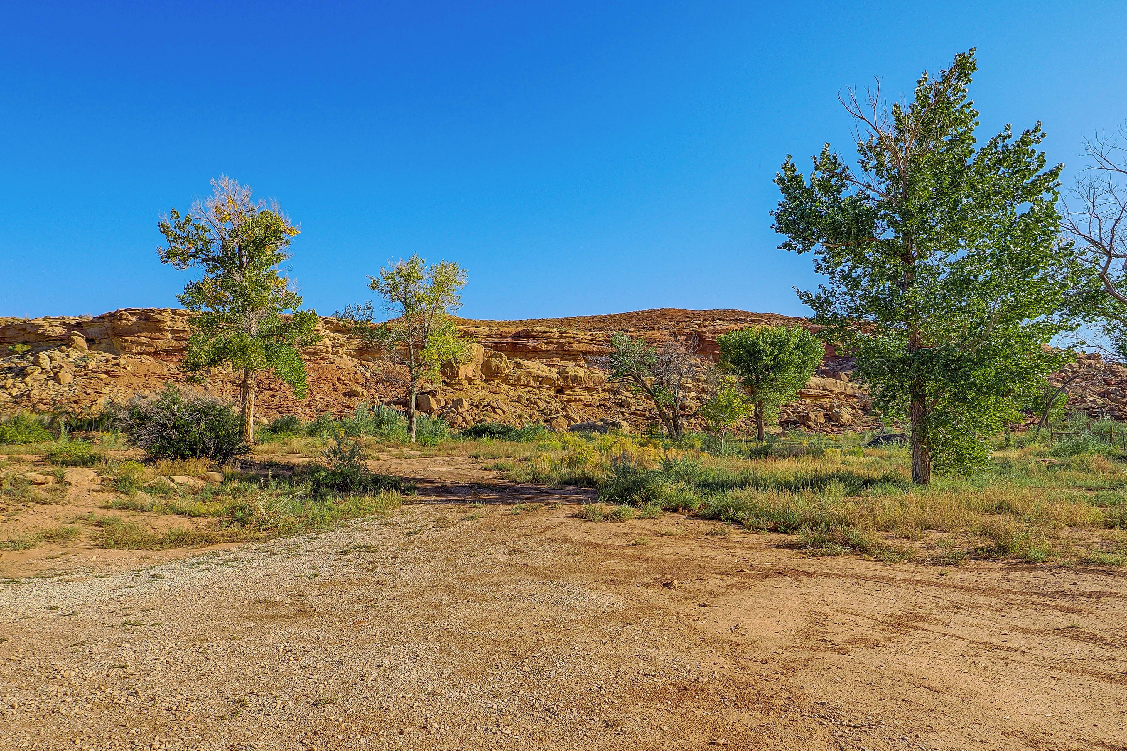 Wüstenlandschaft mit felsigem Gelände und vereinzelter Vegetation.