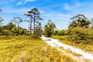 House (4 Bedrooms) | Interior - Saint Teresa Escape: Walk to Beach & Arcade! (Carrabelle)