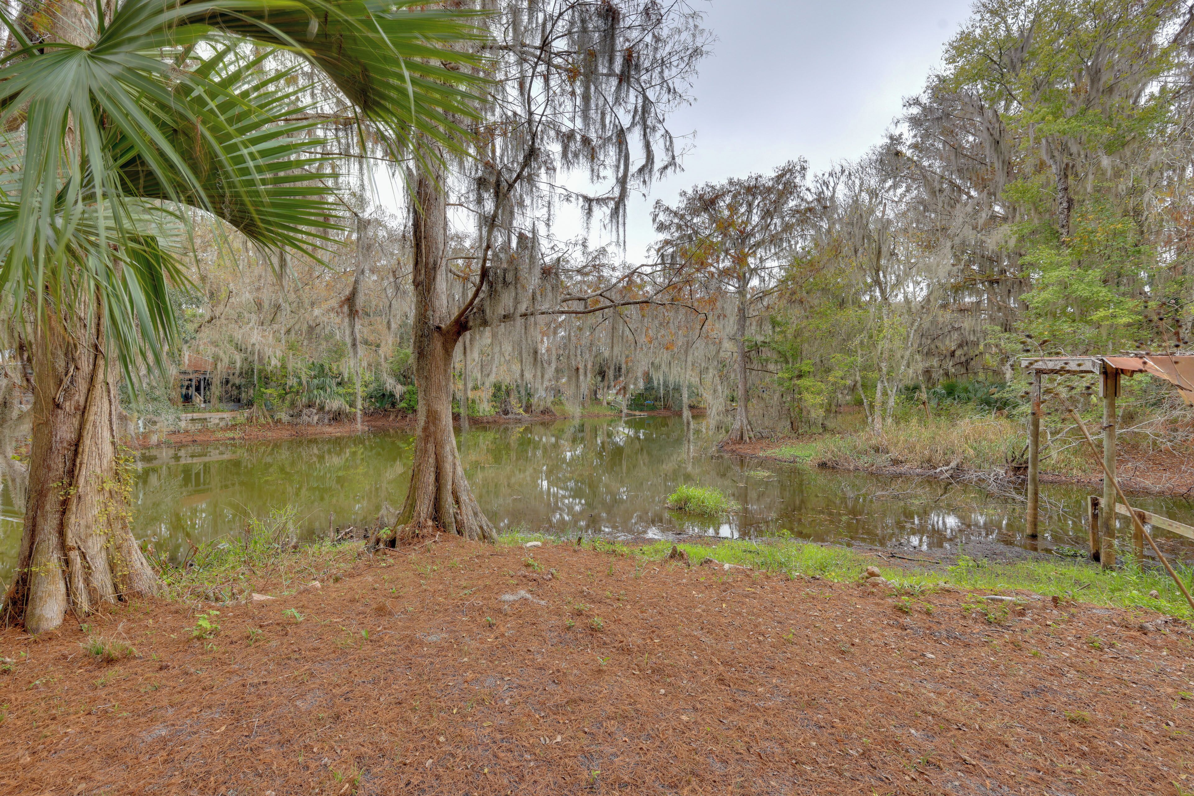 A natural landscape with a pond, trees, and a wooden structure.