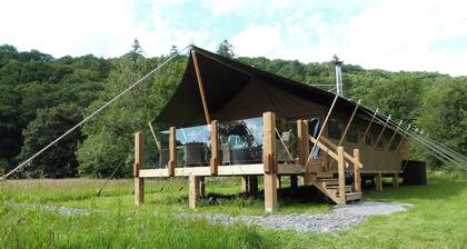 Teifi