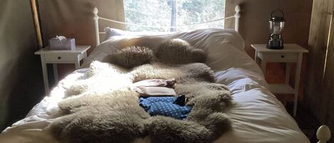 4 多间卧室、特色装修、特色家居