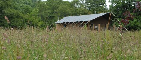 บริเวณที่พัก