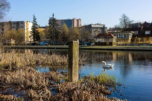 Apartment | 1 bedroom - Ladrillo - Luksusowy Loft z Widokiem na Miasto (Bydgoszcz)