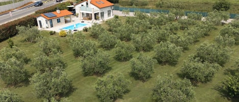 A house with a swimming pool, surrounded by a well-maintained garden and olive trees.