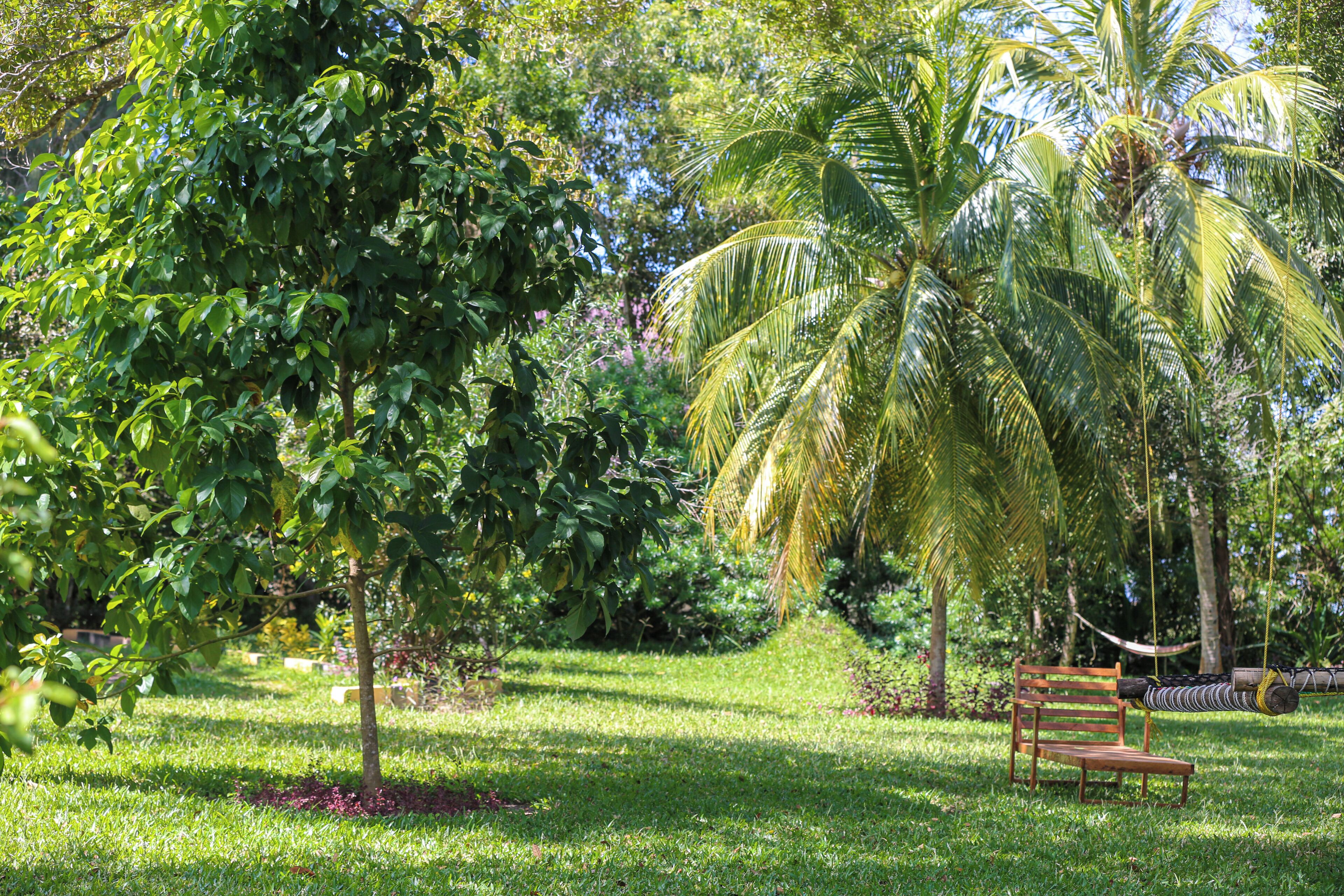 Family Room, Garden View