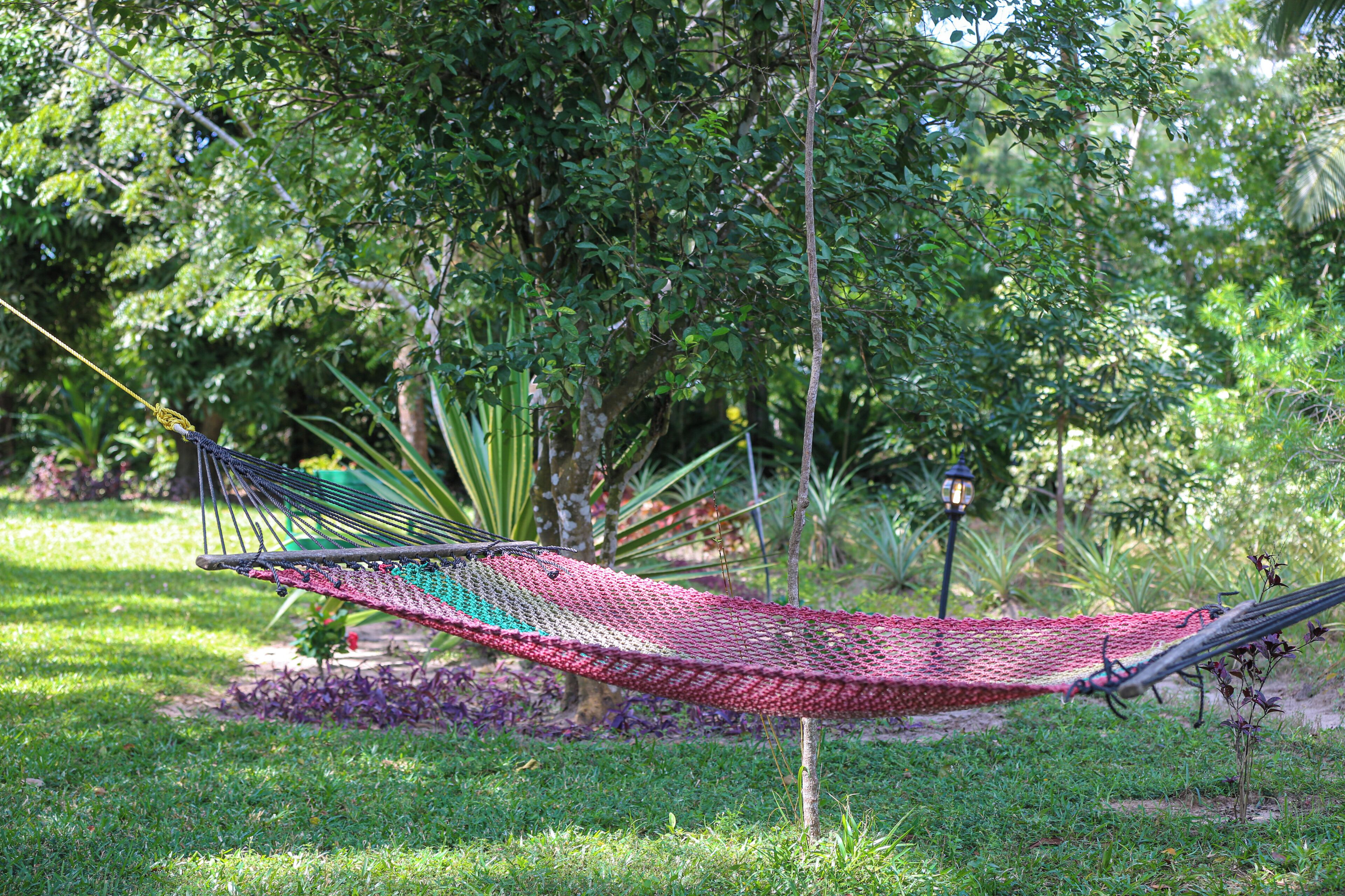 Deluxe Double Room, Garden View