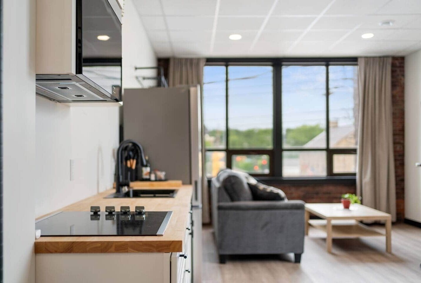 Réfrigérateur, micro-ondes, plaque de cuisson, grille-pain