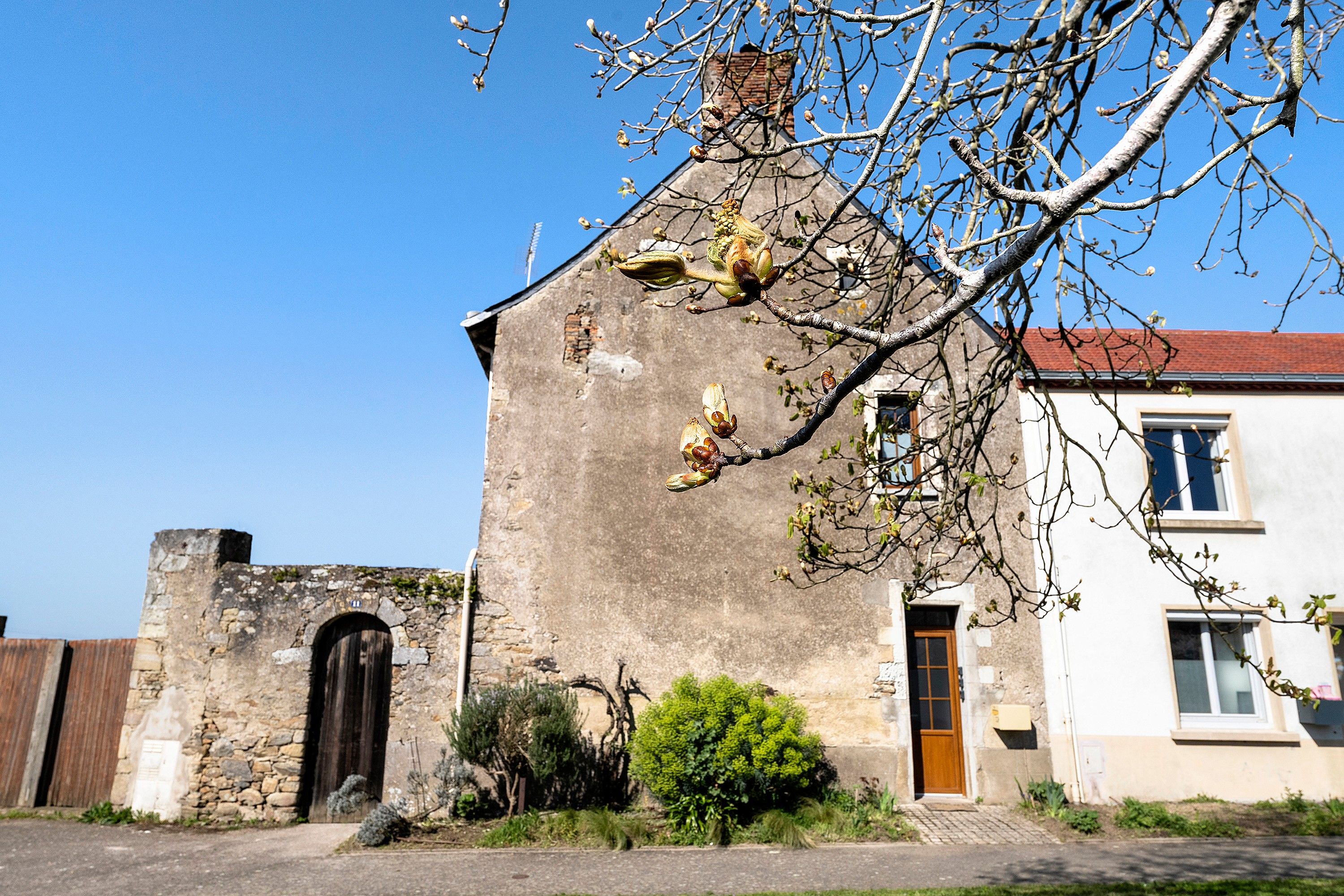 Um edifício histórico de pedra com porta de madeira, um pequeno jardim e um edifício moderno ao fundo.