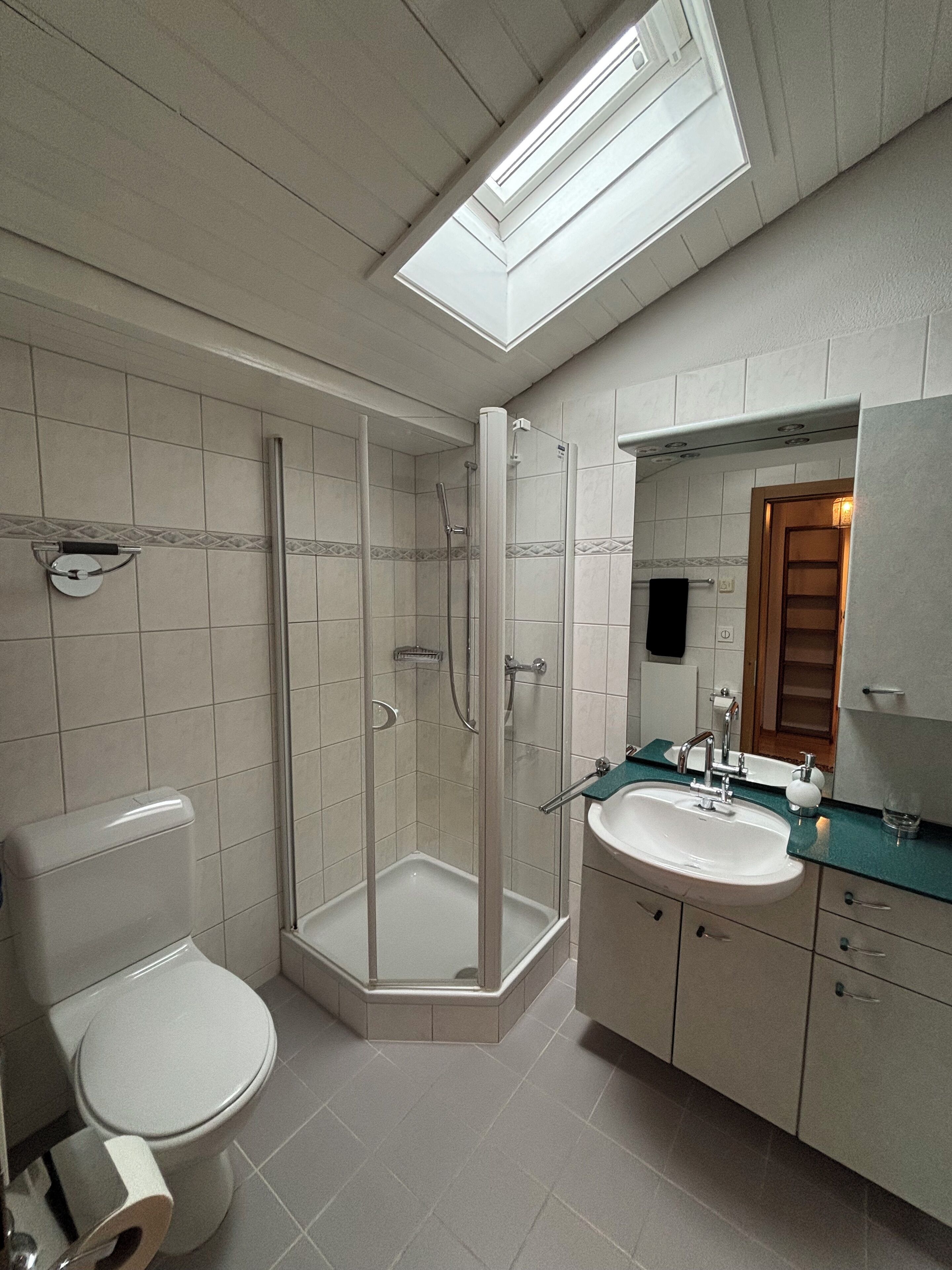 Hair dryer, towels, soap, toilet paper
