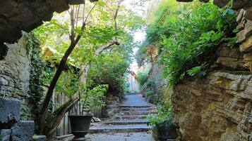 House | View from property