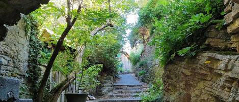 Ferienhaus | Blick von der Unterkunft