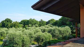 Appartement Deluxe, vue lac | Terrasse/Patio