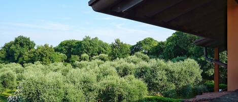 Apartamento Deluxe, vistas al lago | Terraza o patio